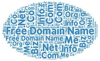 Finding a Domain Name