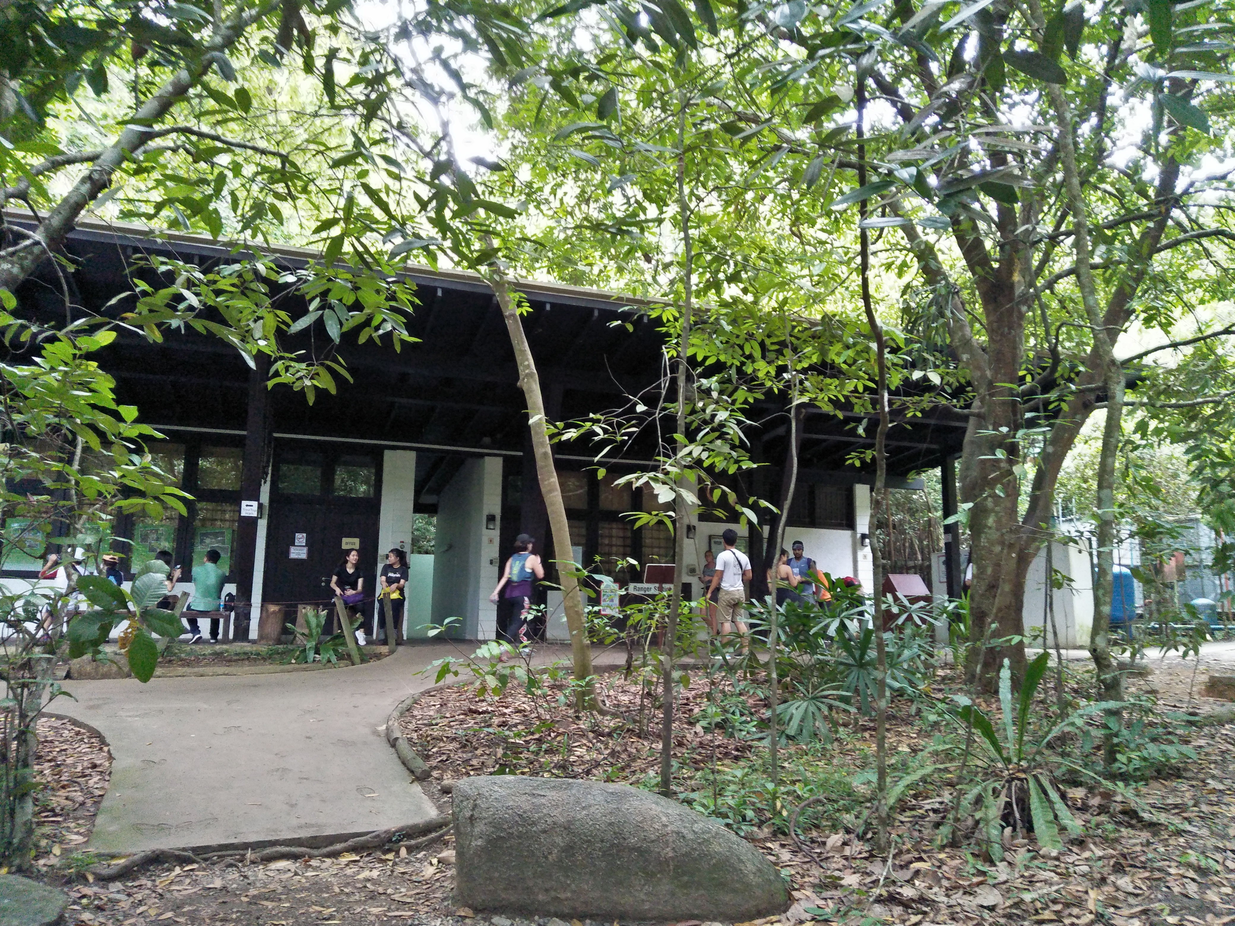 MacRitchie Reservoir Trail Walk