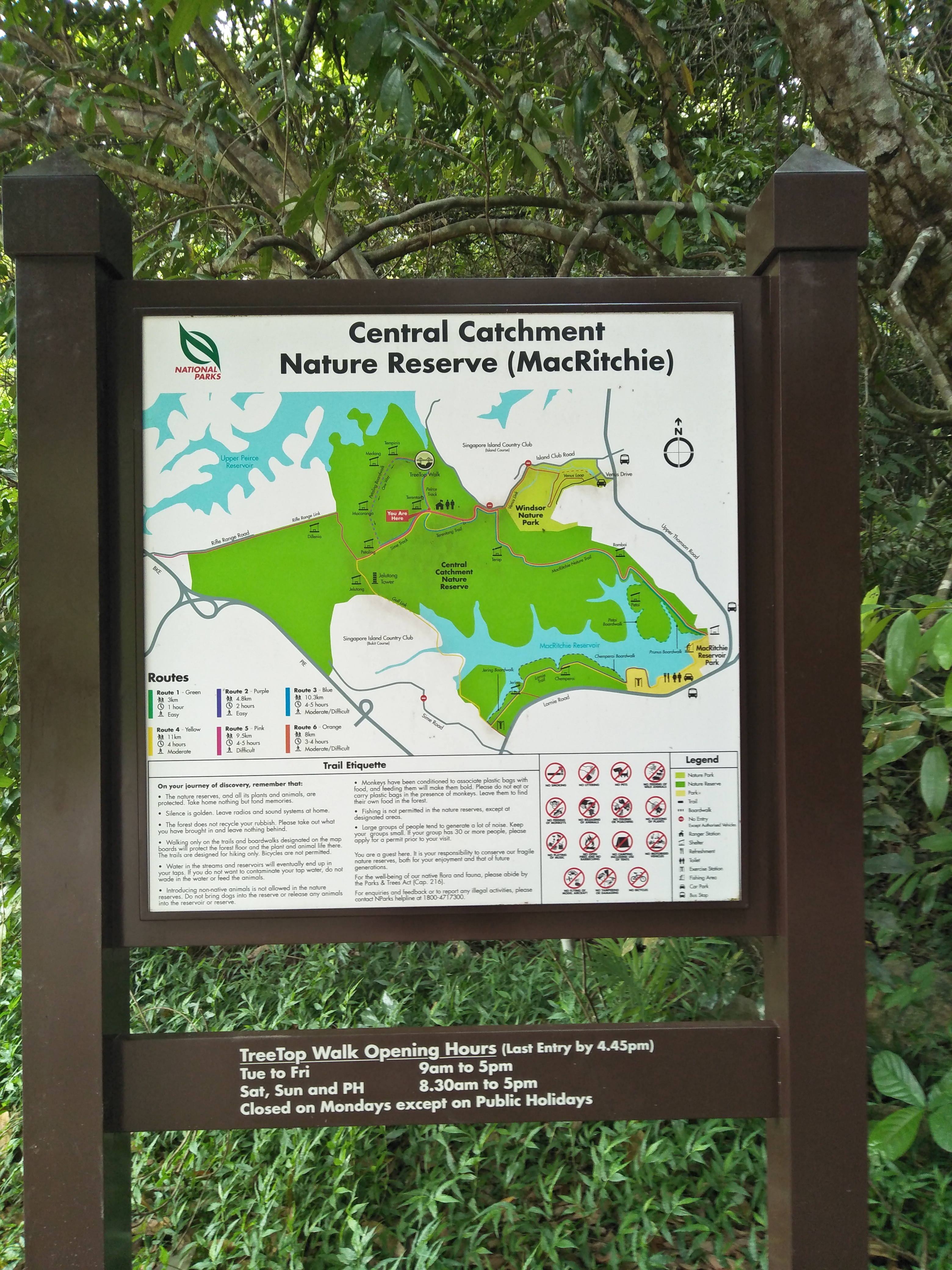 MacRitchie Reservoir Trail Walk