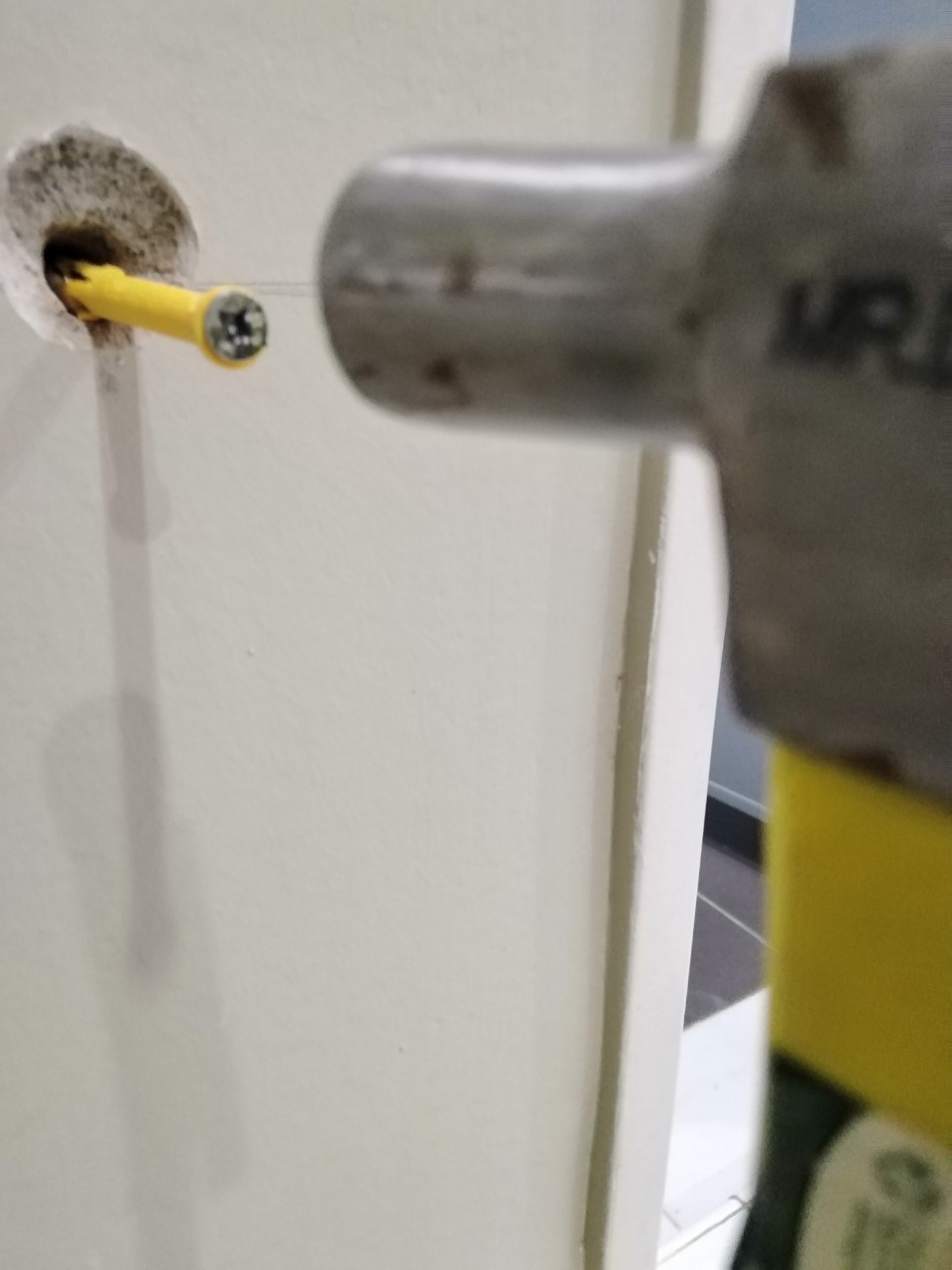 Hammer in all wall Plug