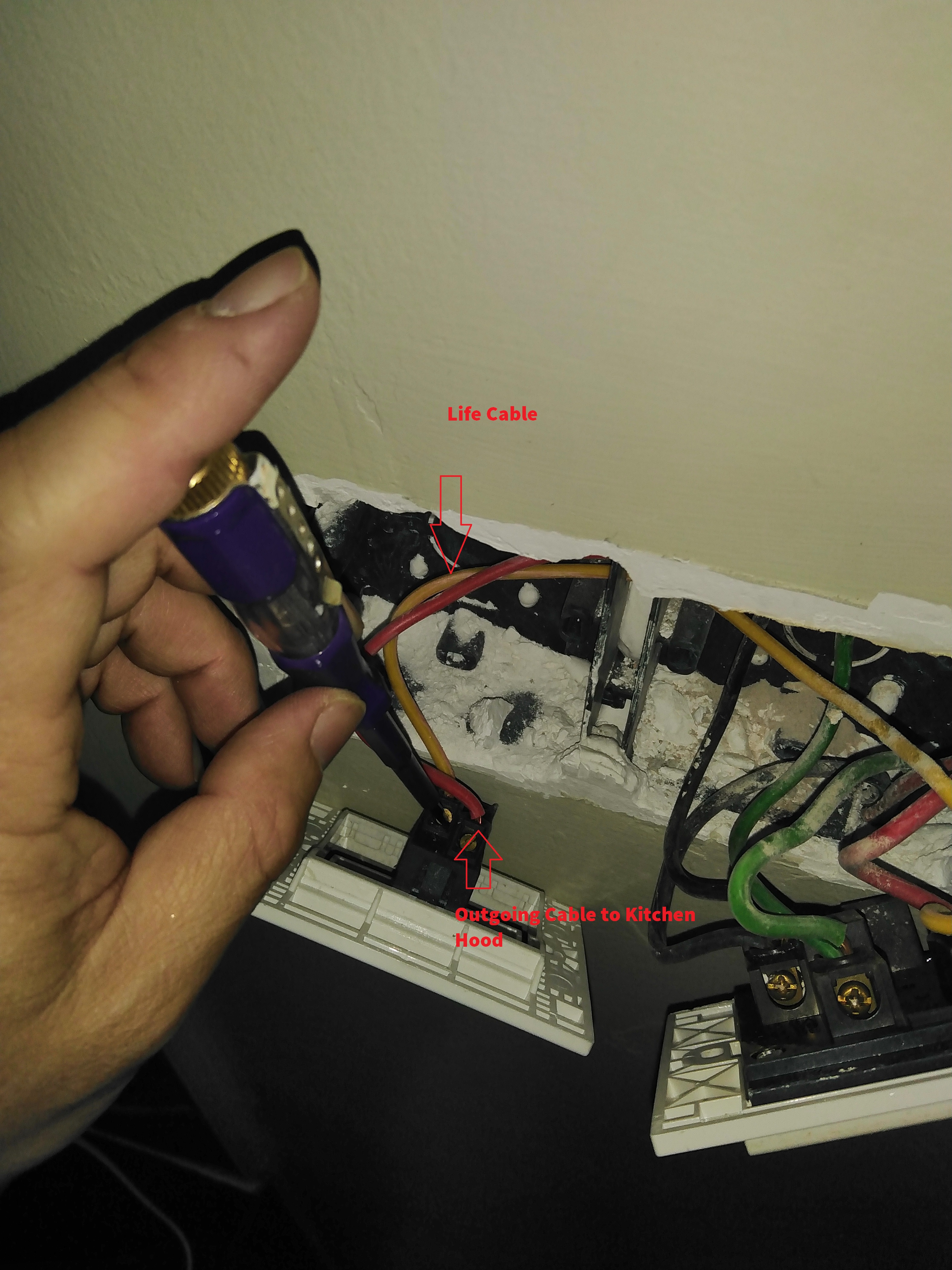 Identify the Life Cable and Out Going Cable