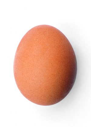 Chicken Egg Historical Price Singapore