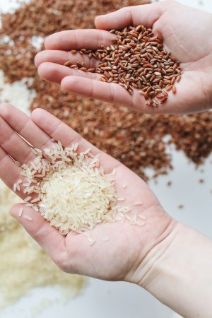 Premium Thai Rice Historical Price