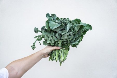 Chinese Kale (Kailan) (Per Kilogram) Historical Price Singapore