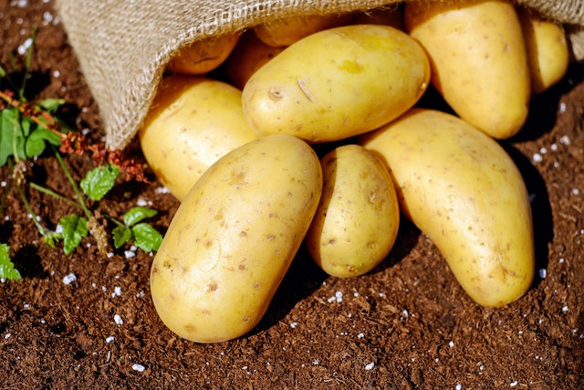 Potatoes (Per Kilogram) Historical Price Singapore