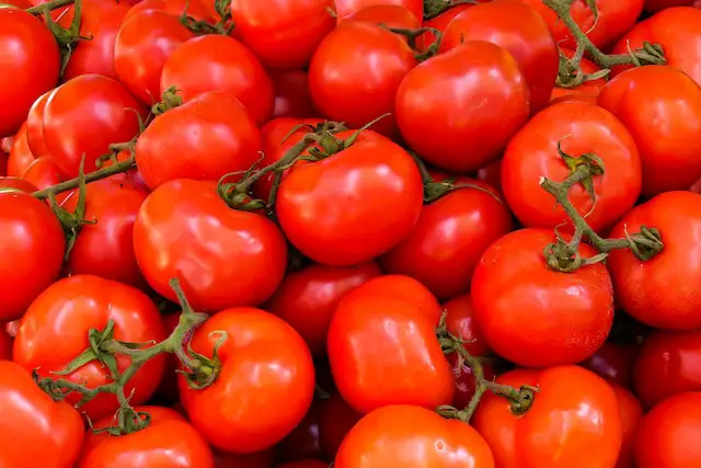Tomatoes Historical Price Singapore